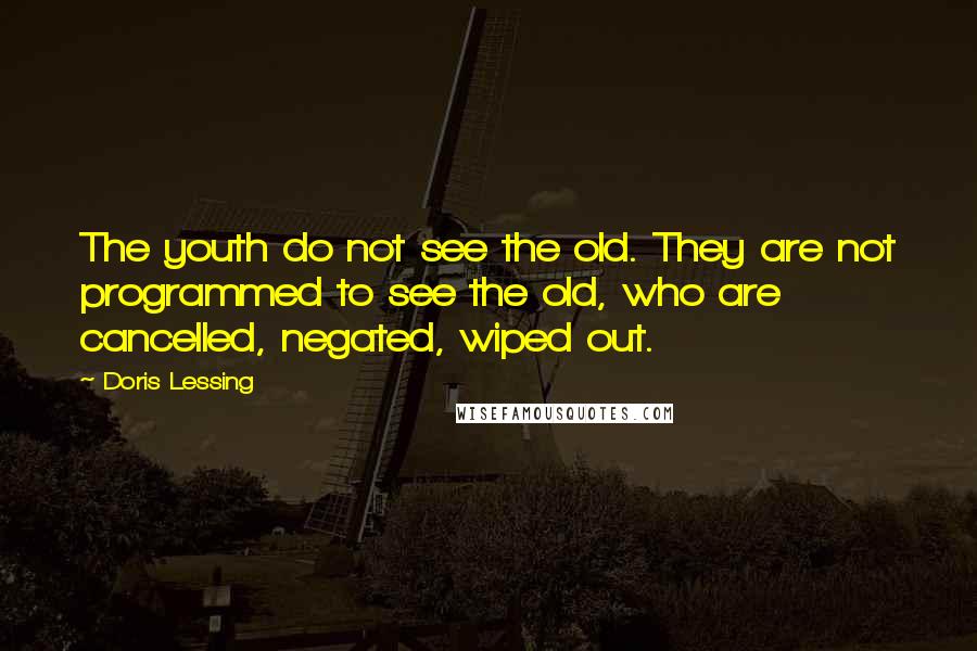 Doris Lessing Quotes: The youth do not see the old. They are not programmed to see the old, who are cancelled, negated, wiped out.