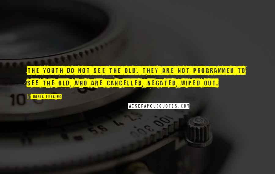 Doris Lessing Quotes: The youth do not see the old. They are not programmed to see the old, who are cancelled, negated, wiped out.