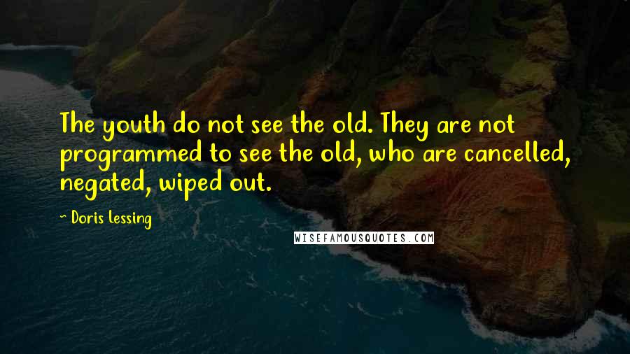 Doris Lessing Quotes: The youth do not see the old. They are not programmed to see the old, who are cancelled, negated, wiped out.