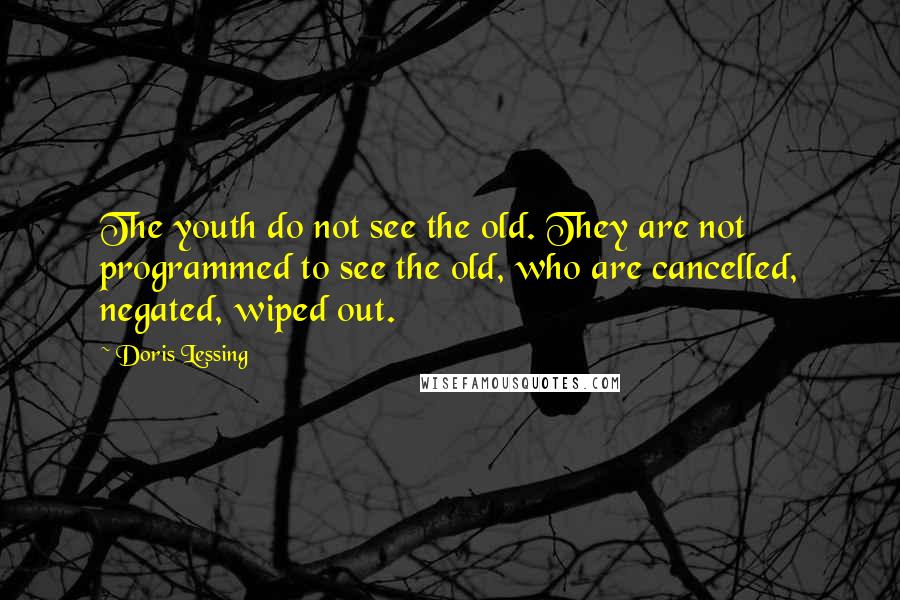 Doris Lessing Quotes: The youth do not see the old. They are not programmed to see the old, who are cancelled, negated, wiped out.