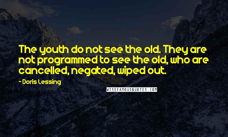 Doris Lessing Quotes: The youth do not see the old. They are not programmed to see the old, who are cancelled, negated, wiped out.