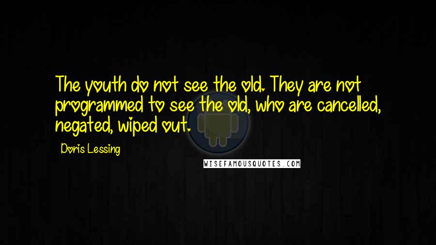 Doris Lessing Quotes: The youth do not see the old. They are not programmed to see the old, who are cancelled, negated, wiped out.
