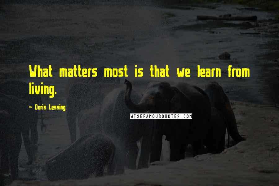 Doris Lessing Quotes: What matters most is that we learn from living.