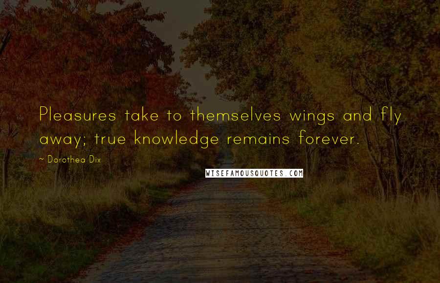 Dorothea Dix Quotes: Pleasures take to themselves wings and fly away; true knowledge remains forever.