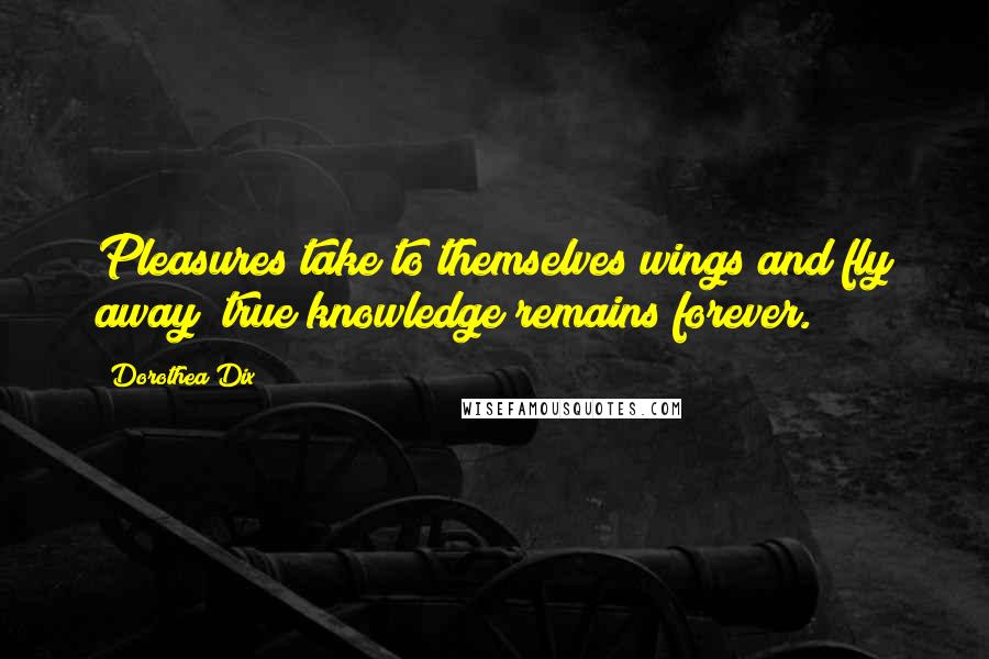 Dorothea Dix Quotes: Pleasures take to themselves wings and fly away; true knowledge remains forever.