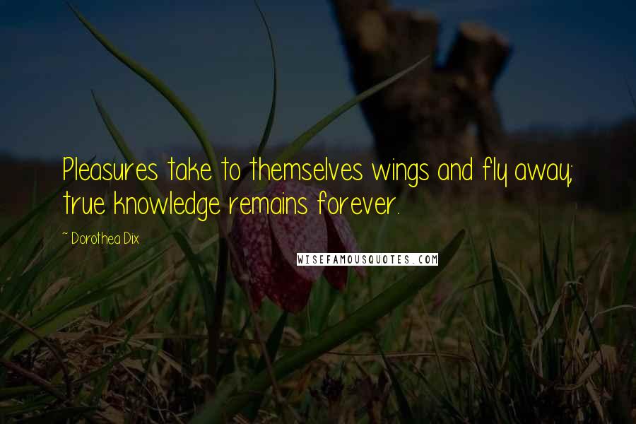 Dorothea Dix Quotes: Pleasures take to themselves wings and fly away; true knowledge remains forever.