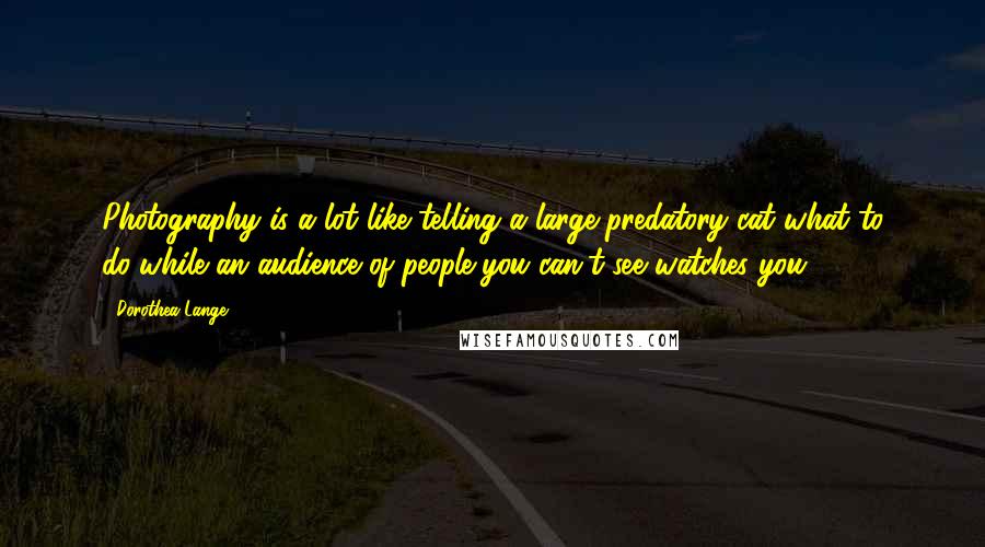 Dorothea Lange Quotes: Photography is a lot like telling a large predatory cat what to do-while an audience of people you can't see watches you.
