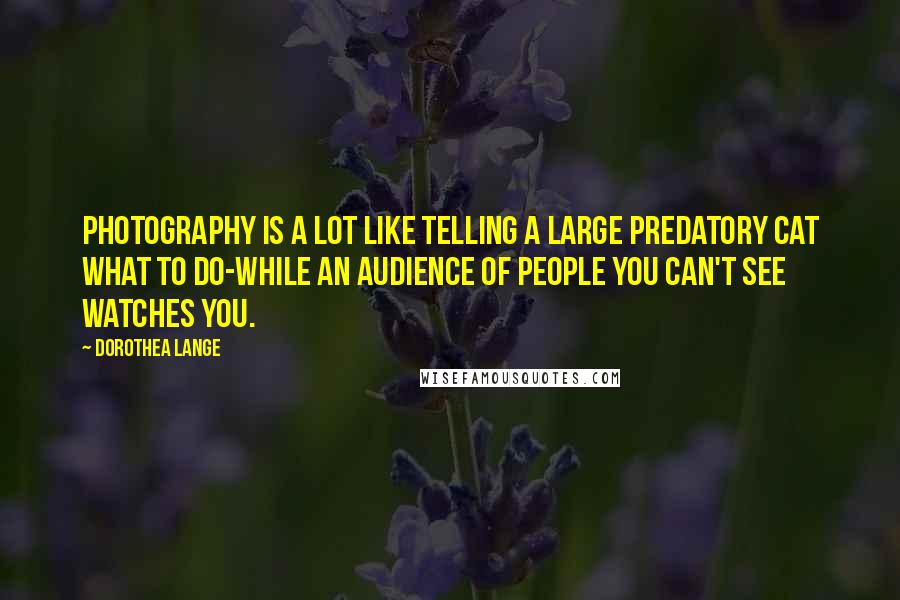 Dorothea Lange Quotes: Photography is a lot like telling a large predatory cat what to do-while an audience of people you can't see watches you.