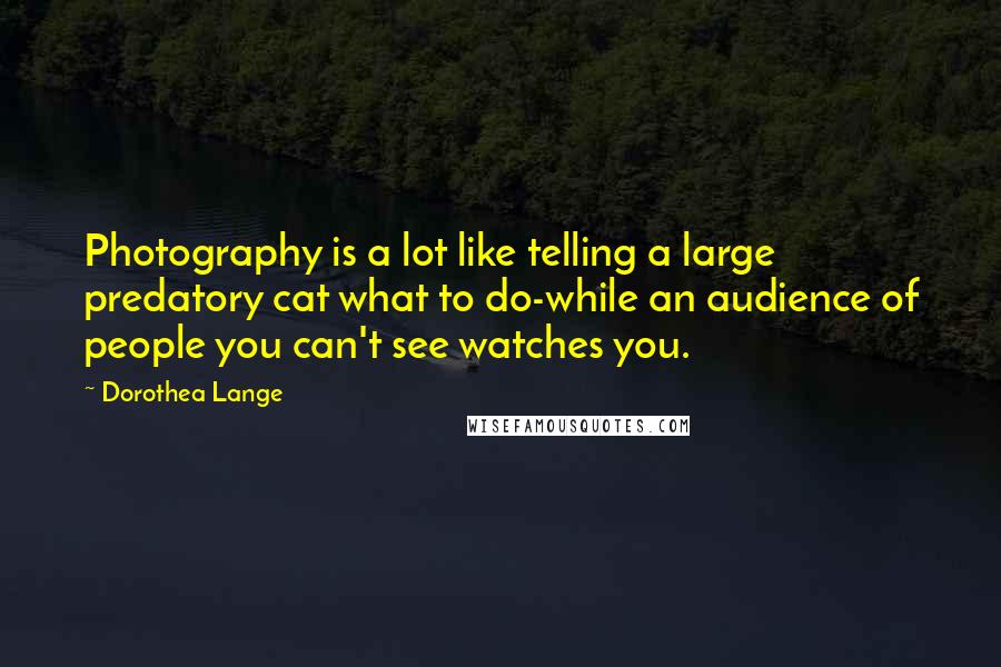 Dorothea Lange Quotes: Photography is a lot like telling a large predatory cat what to do-while an audience of people you can't see watches you.