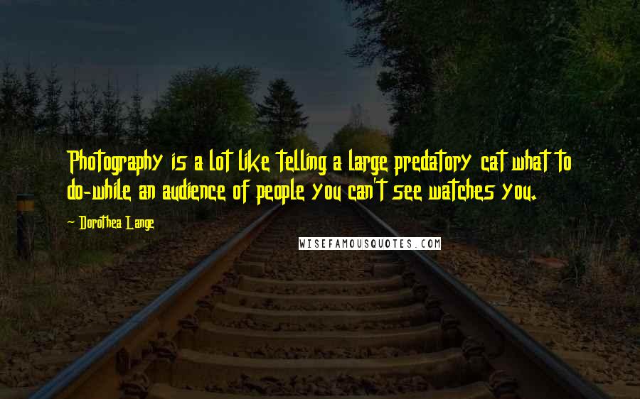 Dorothea Lange Quotes: Photography is a lot like telling a large predatory cat what to do-while an audience of people you can't see watches you.