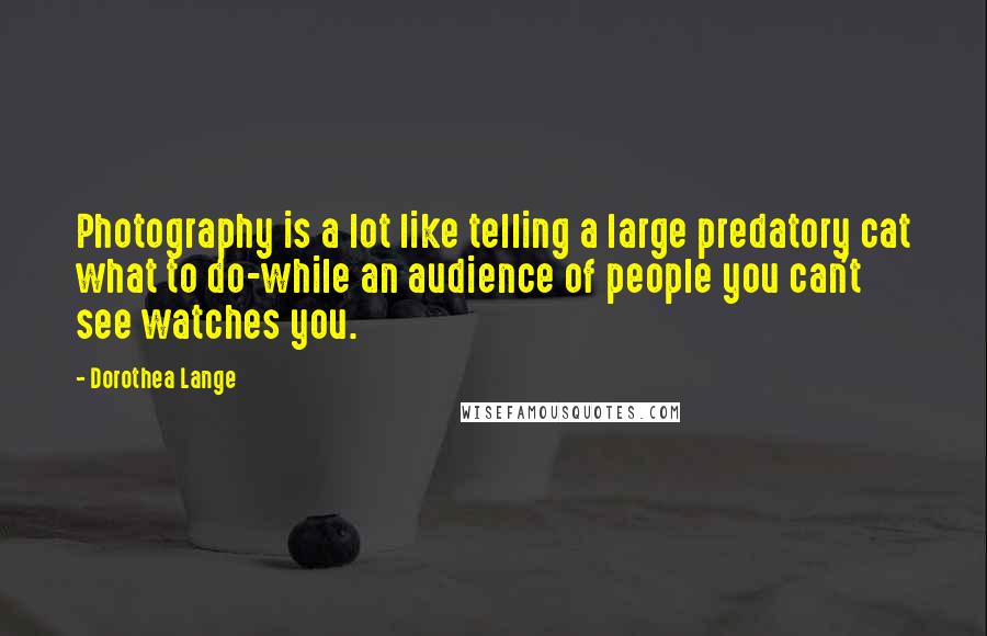Dorothea Lange Quotes: Photography is a lot like telling a large predatory cat what to do-while an audience of people you can't see watches you.