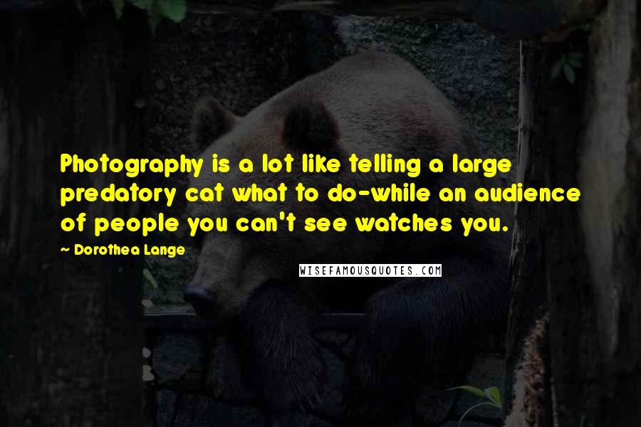 Dorothea Lange Quotes: Photography is a lot like telling a large predatory cat what to do-while an audience of people you can't see watches you.