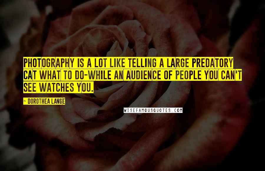 Dorothea Lange Quotes: Photography is a lot like telling a large predatory cat what to do-while an audience of people you can't see watches you.