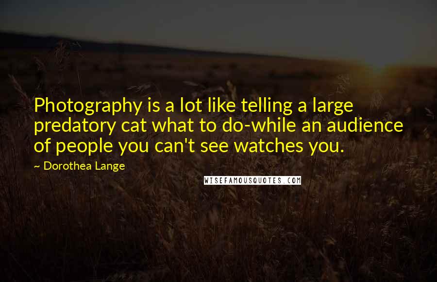 Dorothea Lange Quotes: Photography is a lot like telling a large predatory cat what to do-while an audience of people you can't see watches you.