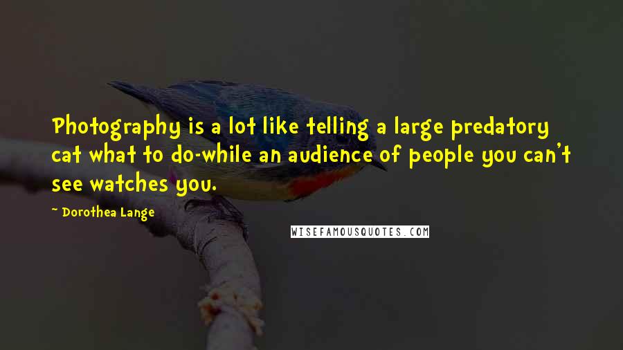 Dorothea Lange Quotes: Photography is a lot like telling a large predatory cat what to do-while an audience of people you can't see watches you.