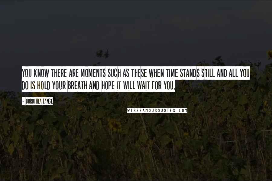 Dorothea Lange Quotes: You know there are moments such as these when time stands still and all you do is hold your breath and hope it will wait for you.