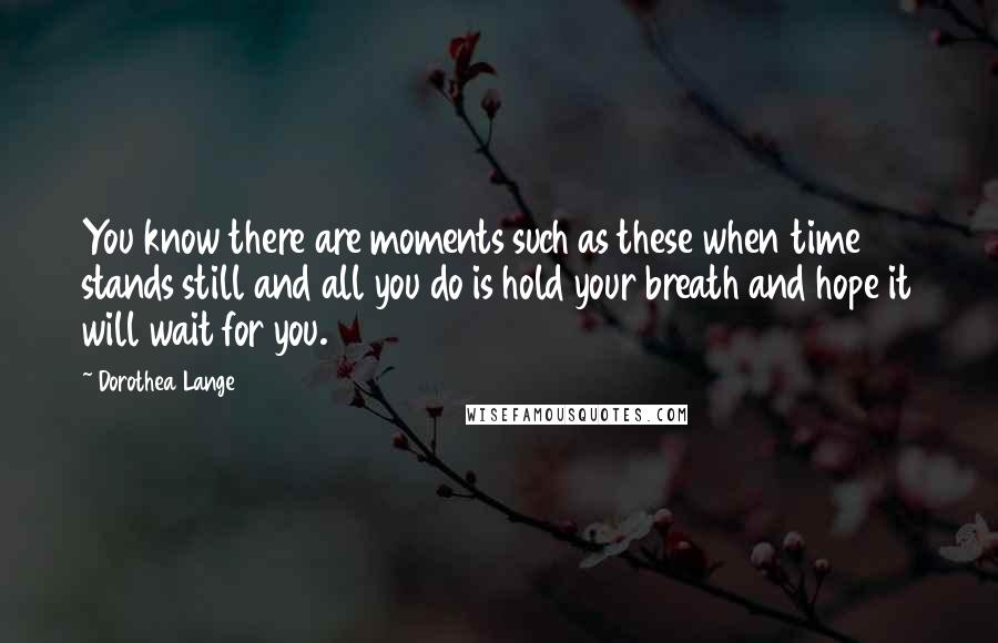 Dorothea Lange Quotes: You know there are moments such as these when time stands still and all you do is hold your breath and hope it will wait for you.