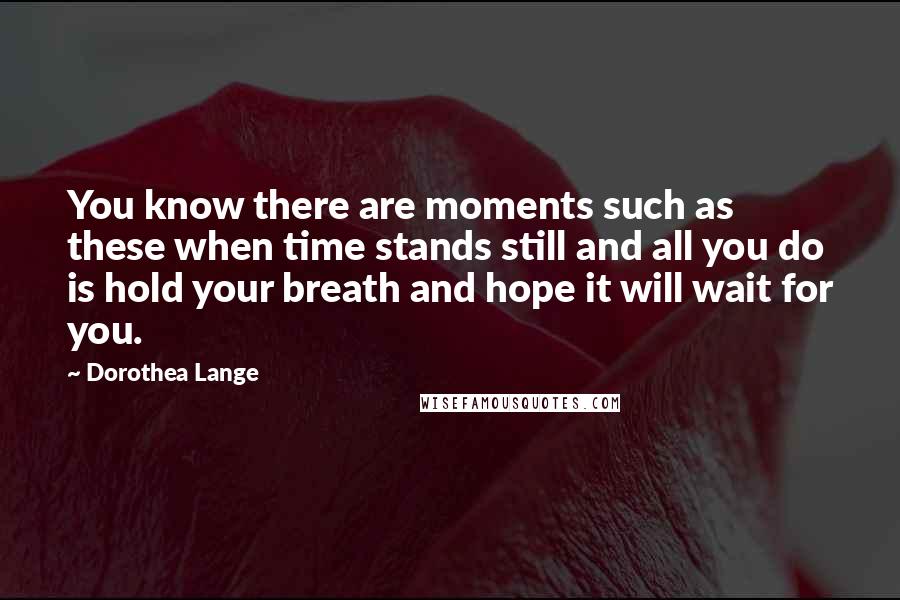 Dorothea Lange Quotes: You know there are moments such as these when time stands still and all you do is hold your breath and hope it will wait for you.