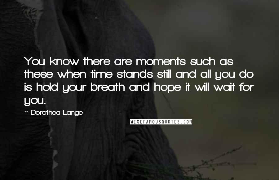 Dorothea Lange Quotes: You know there are moments such as these when time stands still and all you do is hold your breath and hope it will wait for you.