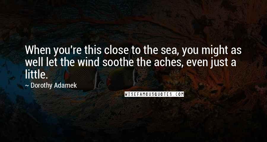 Dorothy Adamek Quotes: When you're this close to the sea, you might as well let the wind soothe the aches, even just a little.