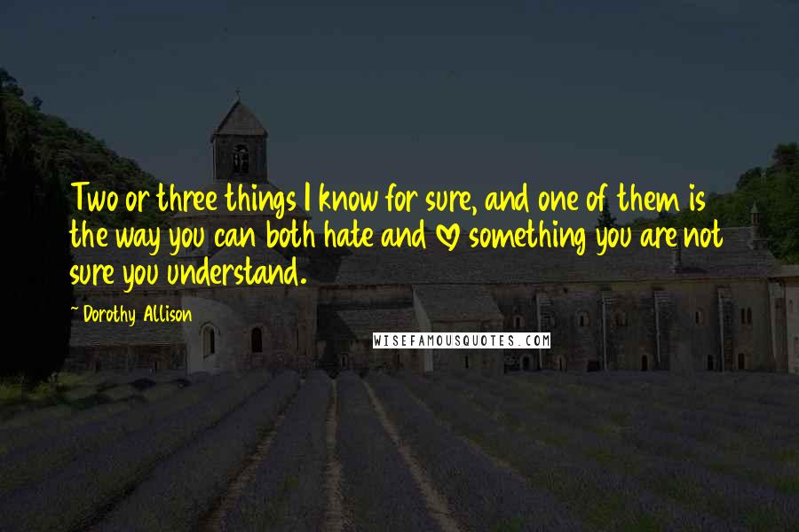 Dorothy Allison Quotes: Two or three things I know for sure, and one of them is the way you can both hate and love something you are not sure you understand.