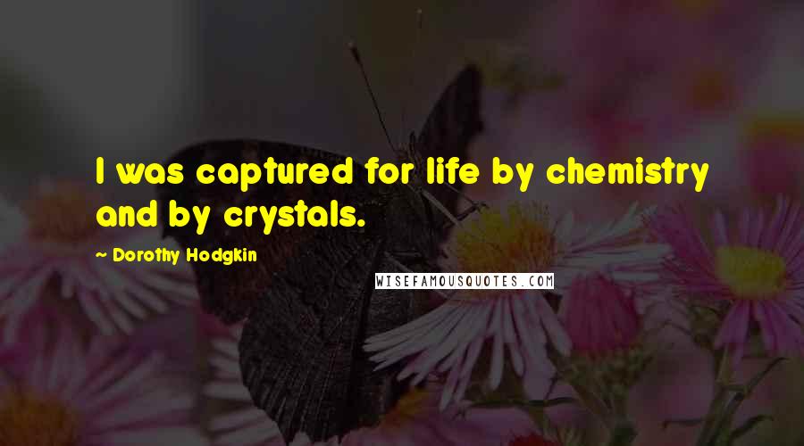 Dorothy Hodgkin Quotes: I was captured for life by chemistry and by crystals.