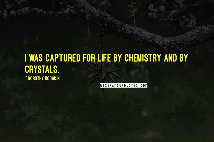 Dorothy Hodgkin Quotes: I was captured for life by chemistry and by crystals.