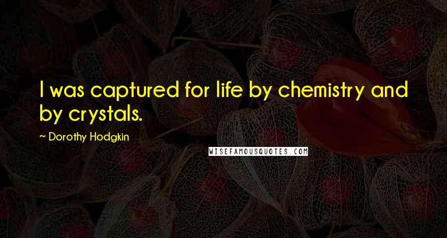 Dorothy Hodgkin Quotes: I was captured for life by chemistry and by crystals.