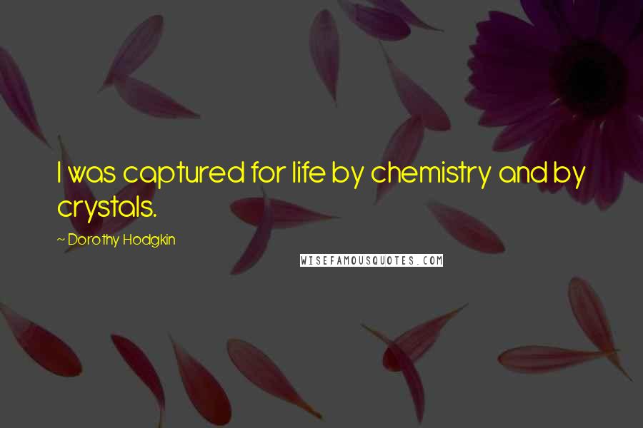 Dorothy Hodgkin Quotes: I was captured for life by chemistry and by crystals.