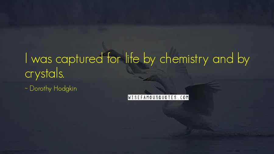 Dorothy Hodgkin Quotes: I was captured for life by chemistry and by crystals.