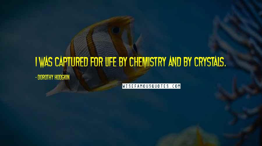 Dorothy Hodgkin Quotes: I was captured for life by chemistry and by crystals.