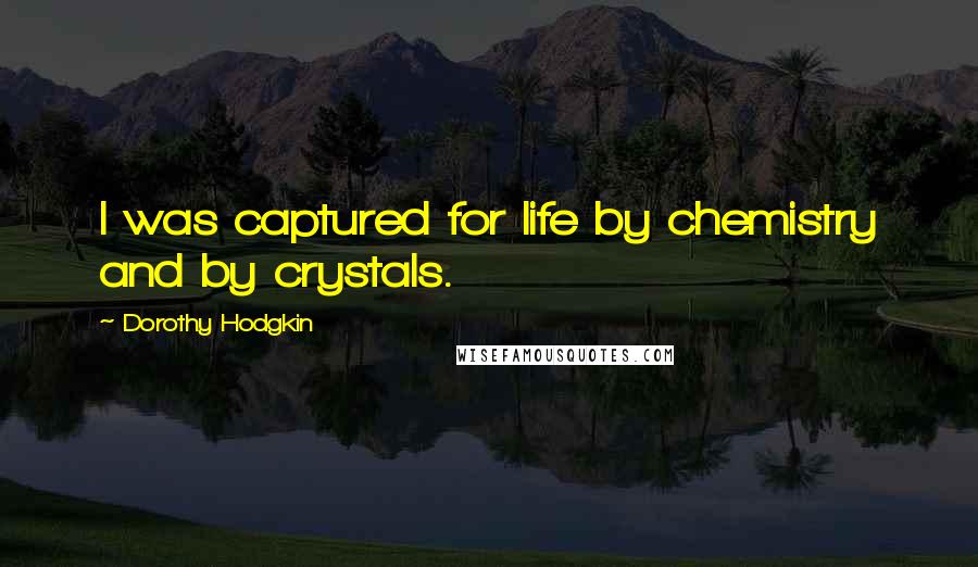 Dorothy Hodgkin Quotes: I was captured for life by chemistry and by crystals.