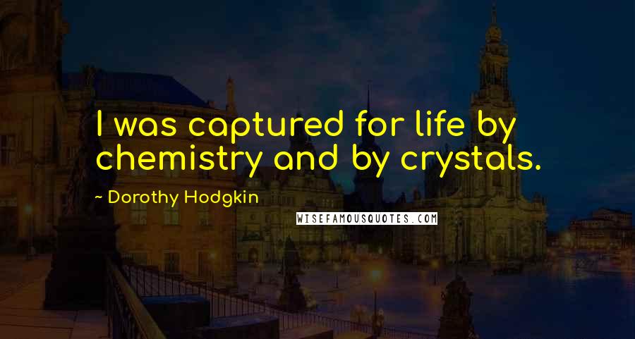 Dorothy Hodgkin Quotes: I was captured for life by chemistry and by crystals.