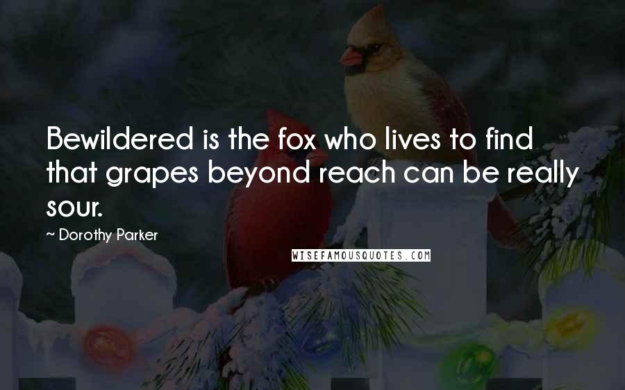 Dorothy Parker Quotes: Bewildered is the fox who lives to find that grapes beyond reach can be really sour.