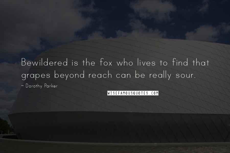 Dorothy Parker Quotes: Bewildered is the fox who lives to find that grapes beyond reach can be really sour.