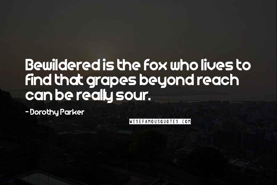 Dorothy Parker Quotes: Bewildered is the fox who lives to find that grapes beyond reach can be really sour.