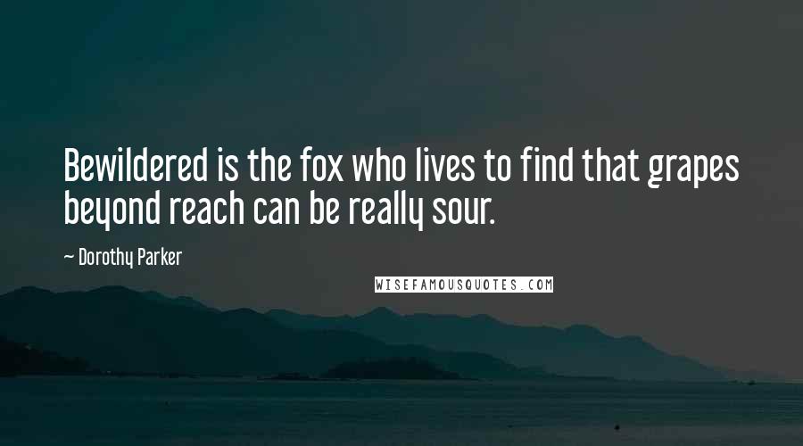 Dorothy Parker Quotes: Bewildered is the fox who lives to find that grapes beyond reach can be really sour.