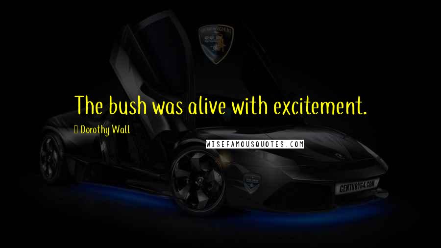 Dorothy Wall Quotes: The bush was alive with excitement.