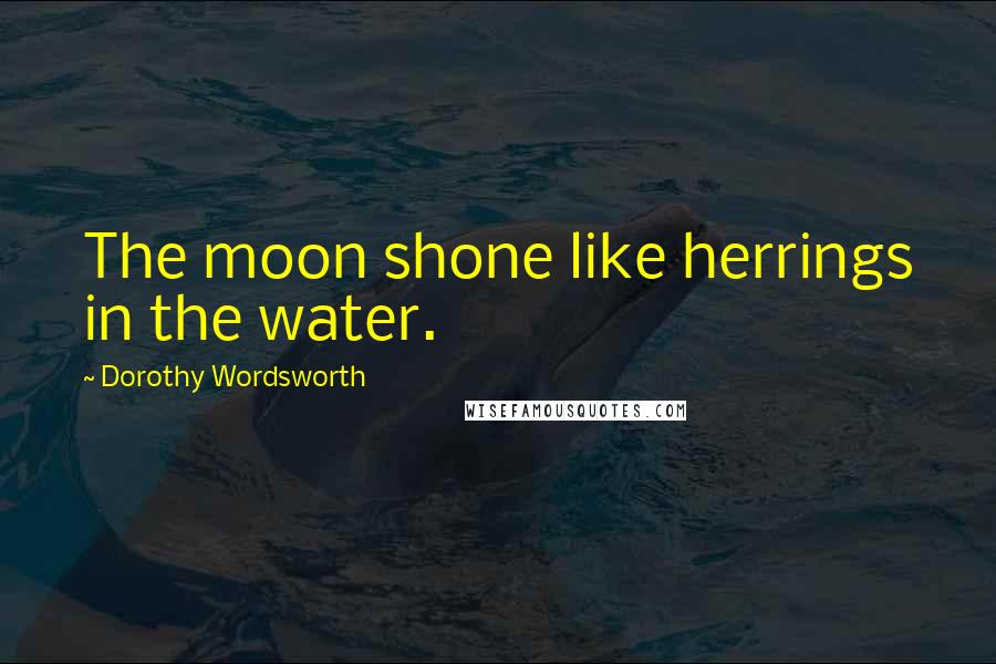 Dorothy Wordsworth Quotes: The moon shone like herrings in the water.