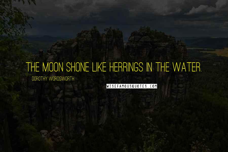 Dorothy Wordsworth Quotes: The moon shone like herrings in the water.