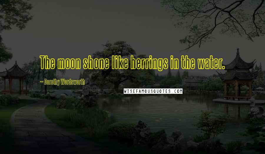 Dorothy Wordsworth Quotes: The moon shone like herrings in the water.