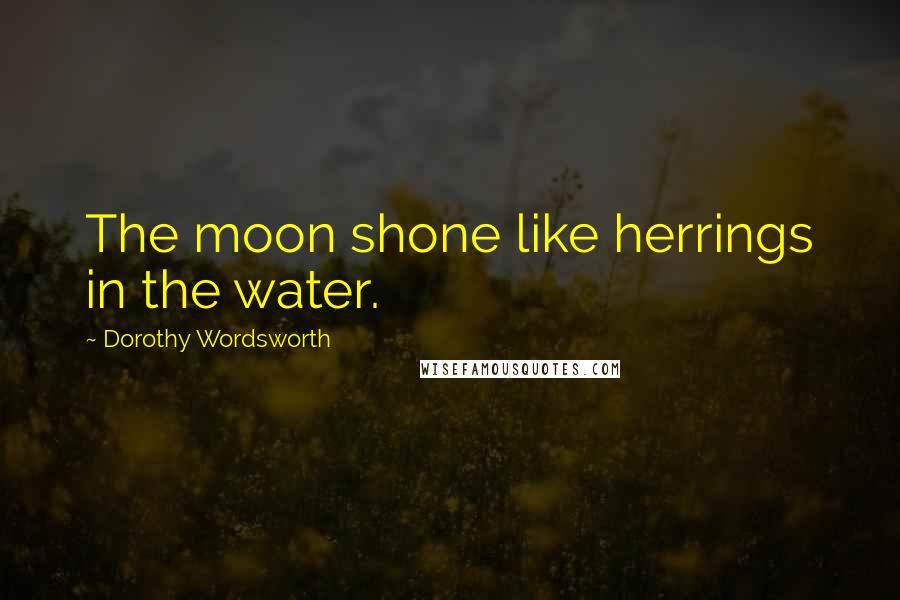 Dorothy Wordsworth Quotes: The moon shone like herrings in the water.