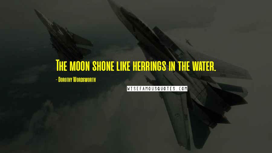 Dorothy Wordsworth Quotes: The moon shone like herrings in the water.