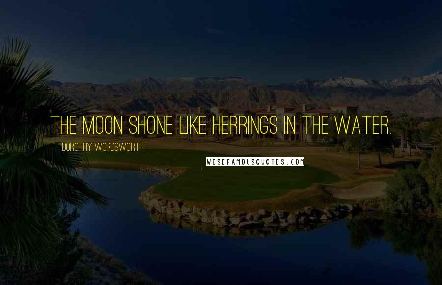 Dorothy Wordsworth Quotes: The moon shone like herrings in the water.