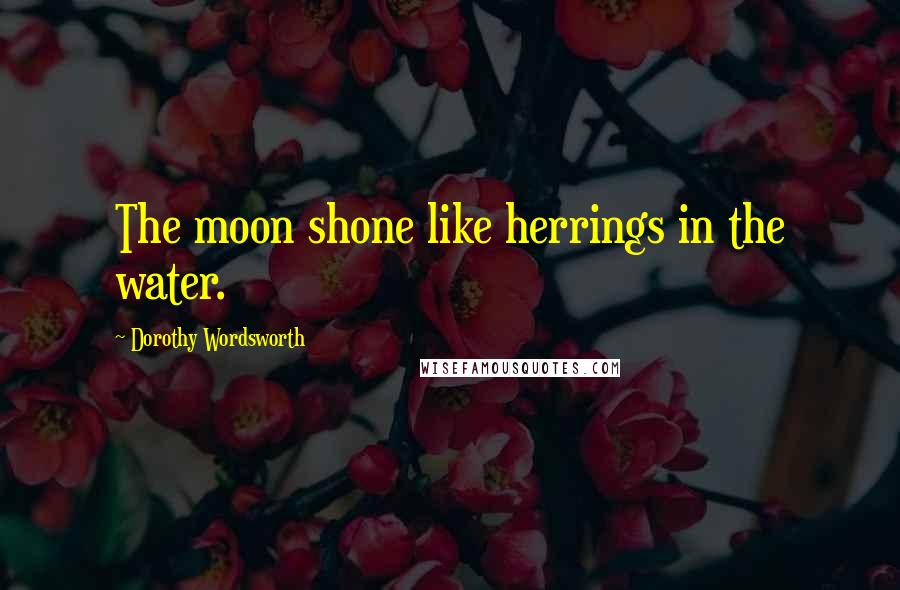 Dorothy Wordsworth Quotes: The moon shone like herrings in the water.