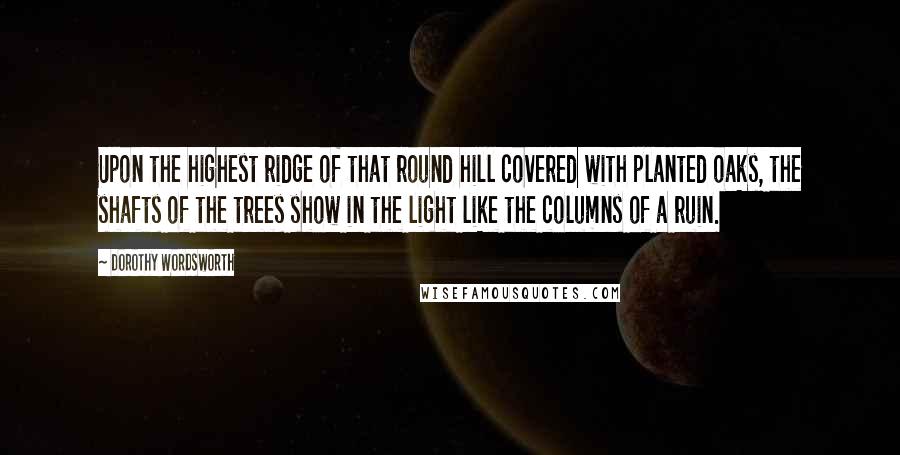Dorothy Wordsworth Quotes: Upon the highest ridge of that round hill covered with planted oaks, the shafts of the trees show in the light like the columns of a ruin.