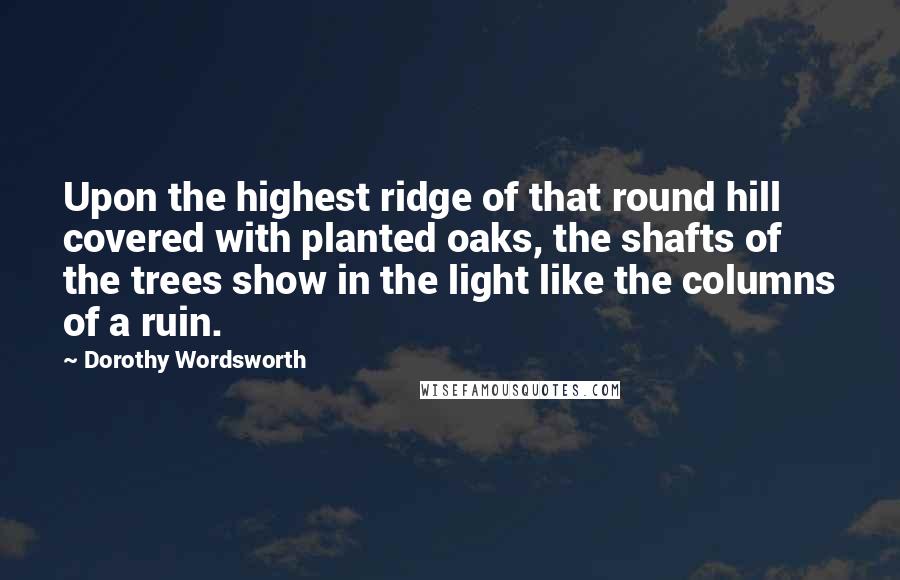 Dorothy Wordsworth Quotes: Upon the highest ridge of that round hill covered with planted oaks, the shafts of the trees show in the light like the columns of a ruin.