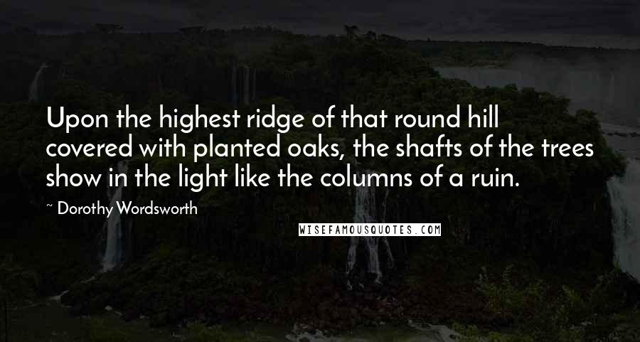 Dorothy Wordsworth Quotes: Upon the highest ridge of that round hill covered with planted oaks, the shafts of the trees show in the light like the columns of a ruin.