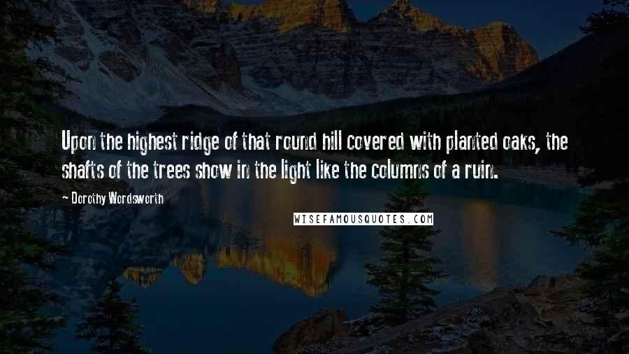 Dorothy Wordsworth Quotes: Upon the highest ridge of that round hill covered with planted oaks, the shafts of the trees show in the light like the columns of a ruin.