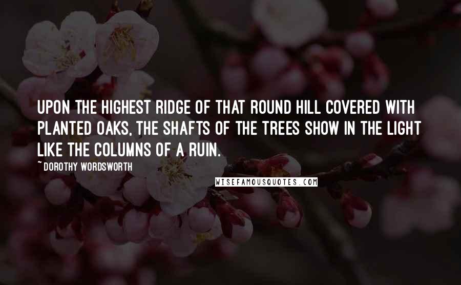 Dorothy Wordsworth Quotes: Upon the highest ridge of that round hill covered with planted oaks, the shafts of the trees show in the light like the columns of a ruin.